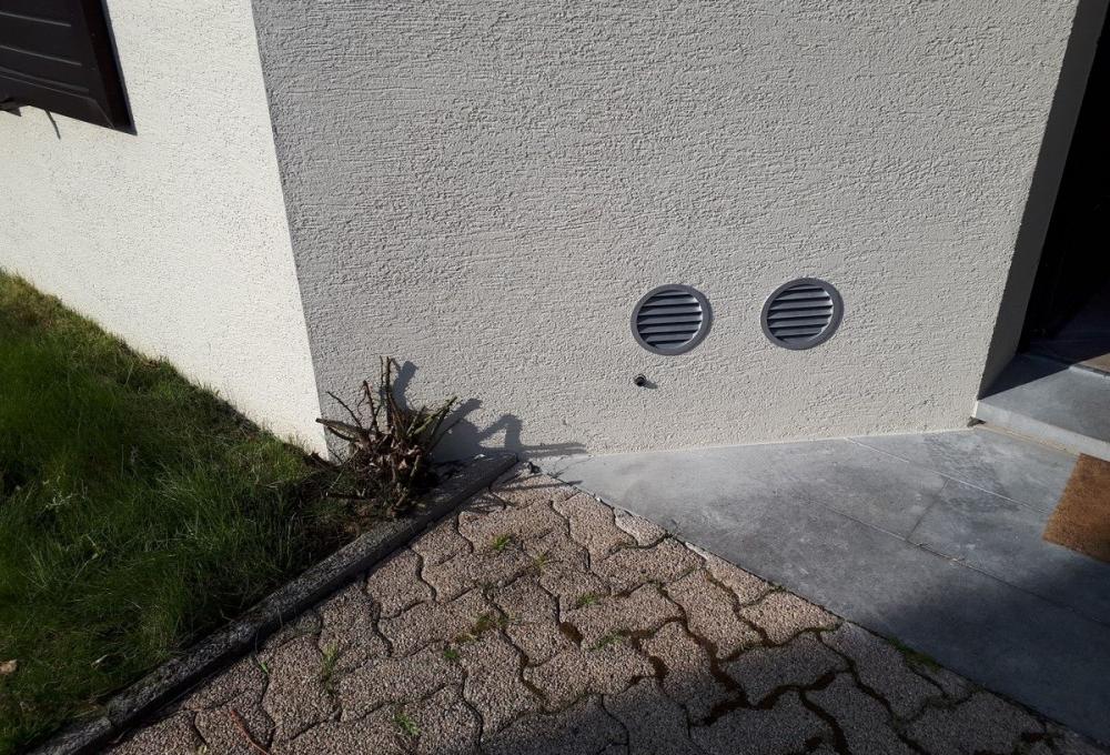 Nullam quis faucibus ex